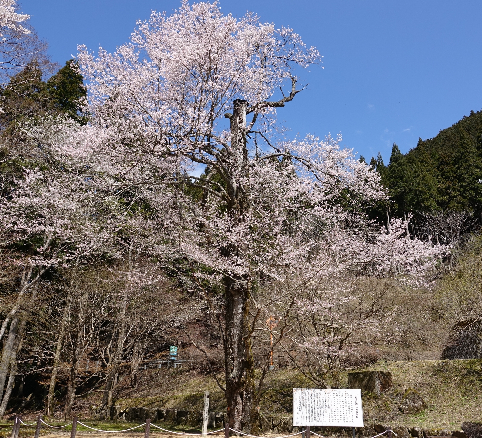 DSC00318_02.jpg