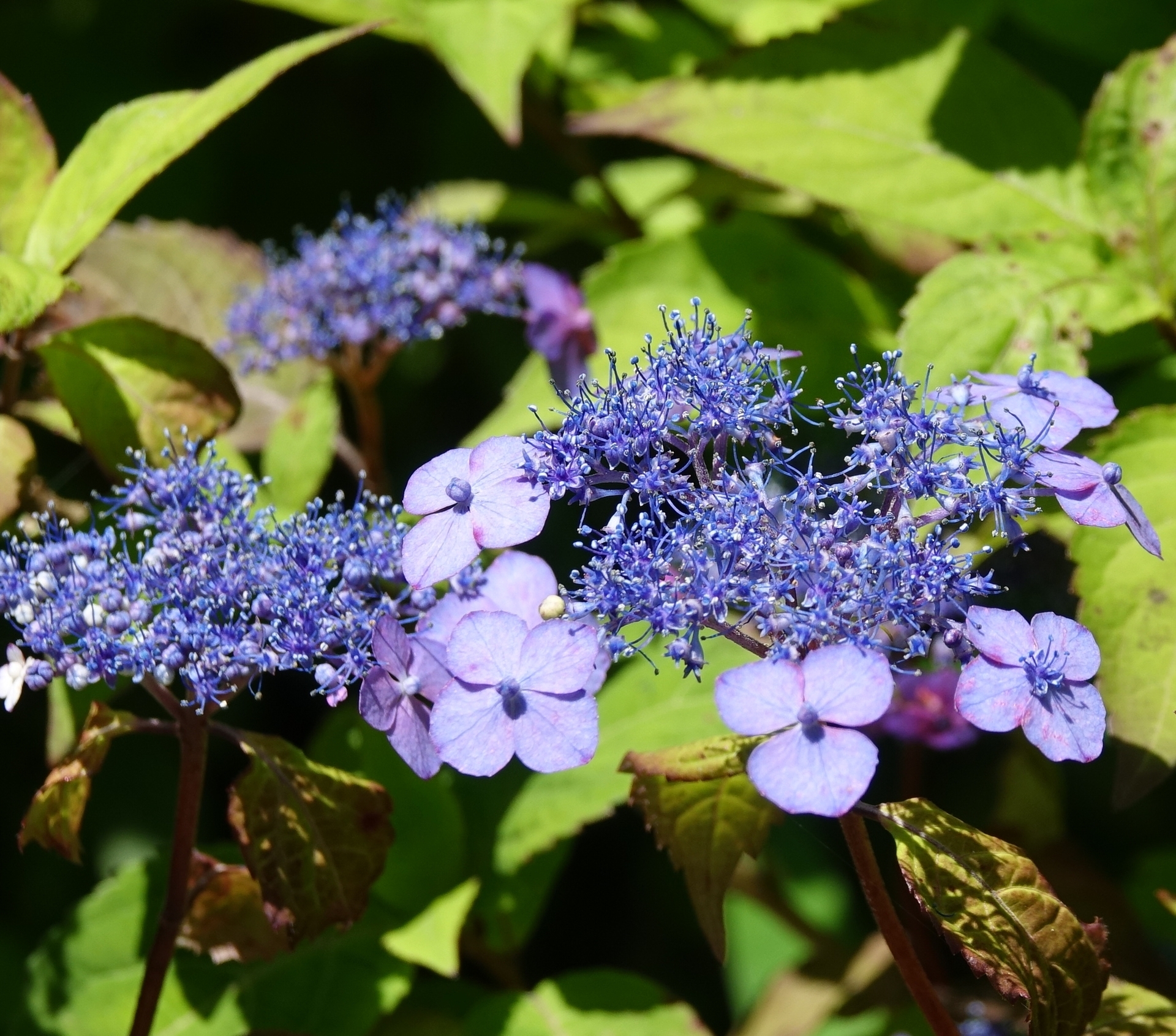 DSC01851_01.jpg