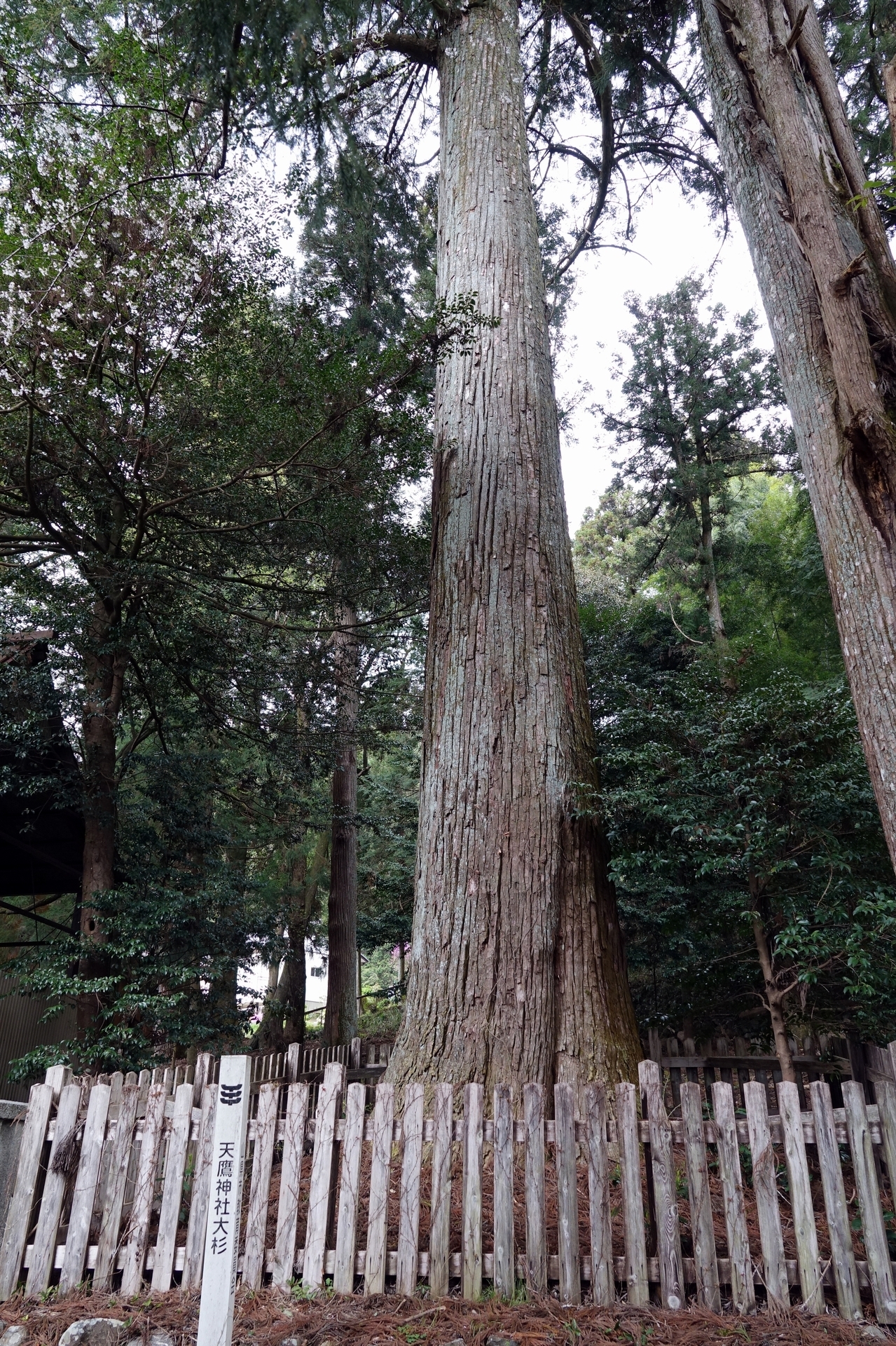DSC00016_01.jpg