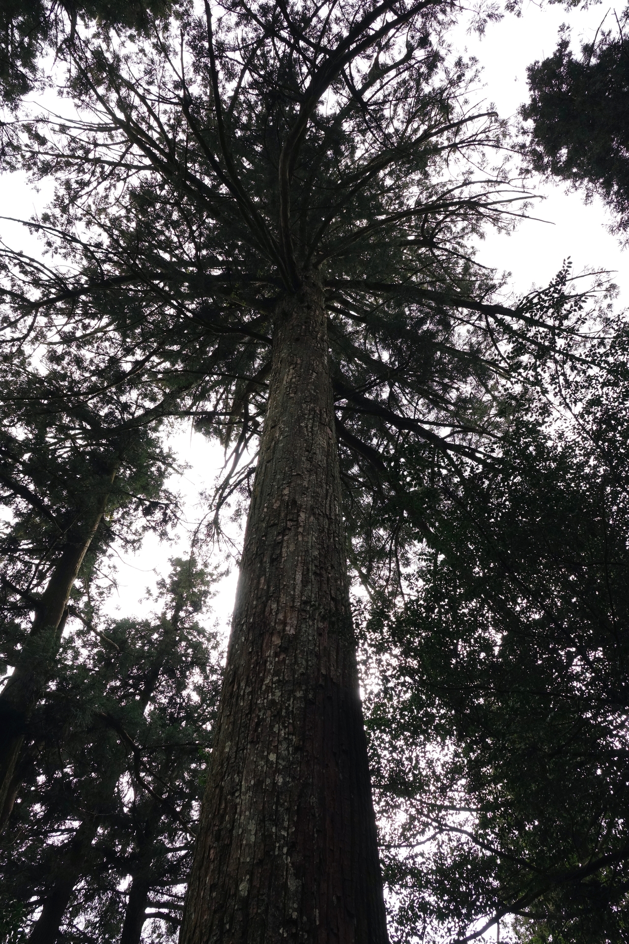 DSC00028_01.jpg