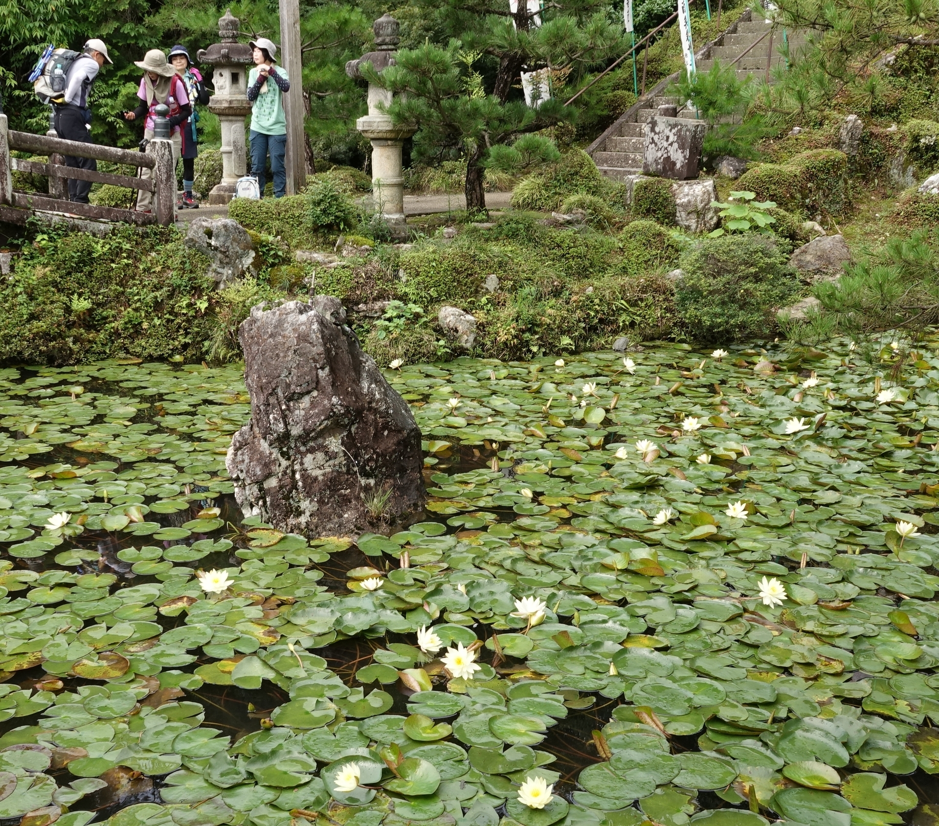 DSC08074_01.jpg