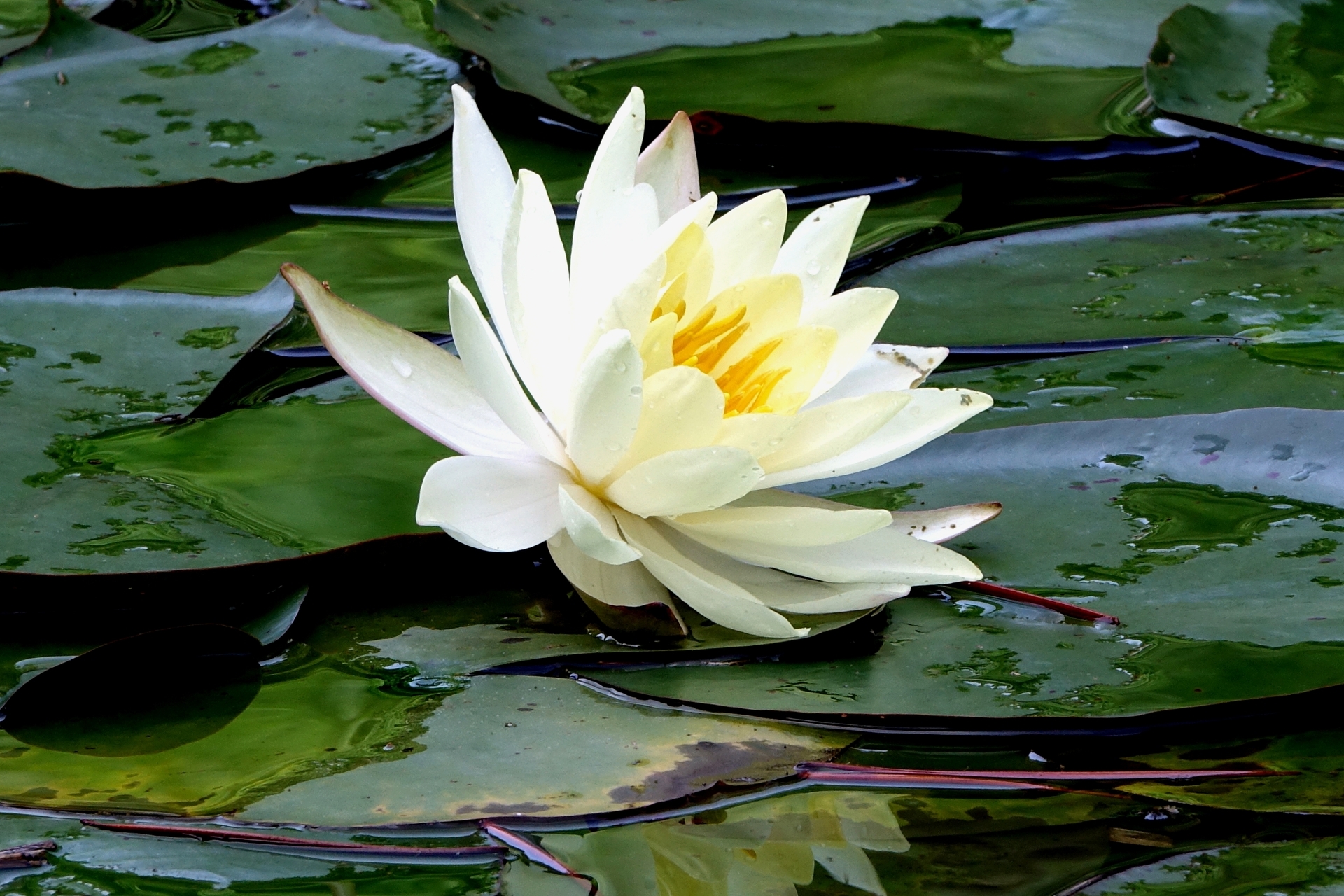 DSC08127_01.jpg