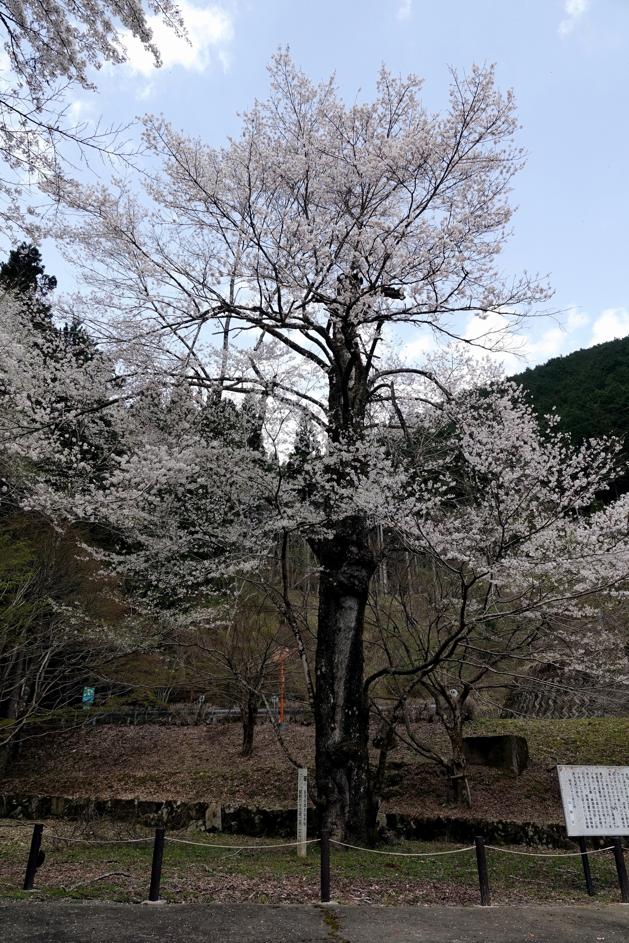 DSC09474_02.jpg