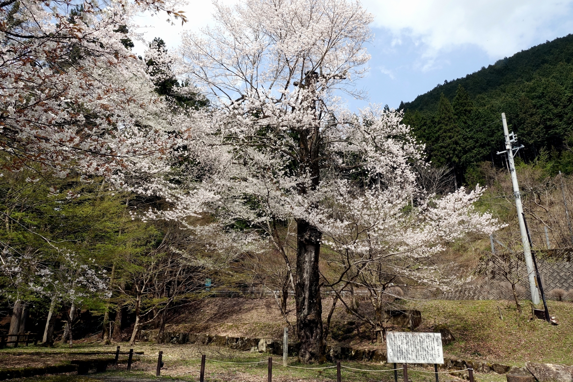 DSC09573_01.jpg
