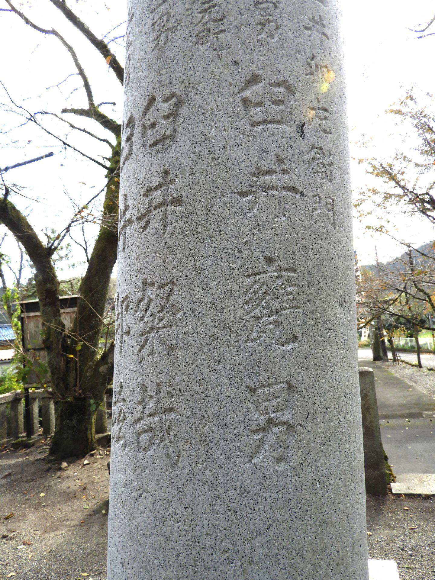 DSCN7941_01.jpg
